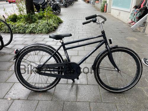 Sparta Young avaliação e ficha técnica